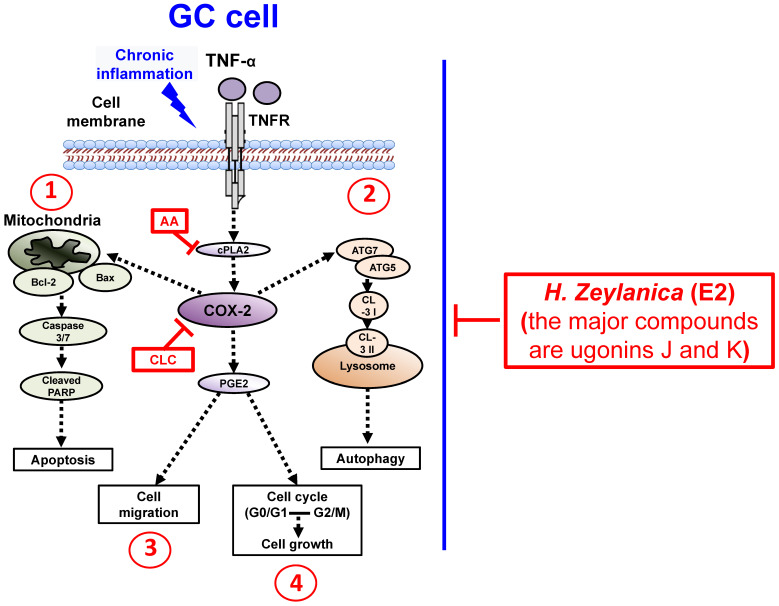 Figure 10