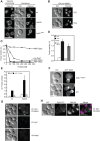 FIGURE 6: