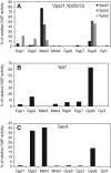 FIGURE 3: