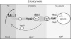 FIGURE 7: