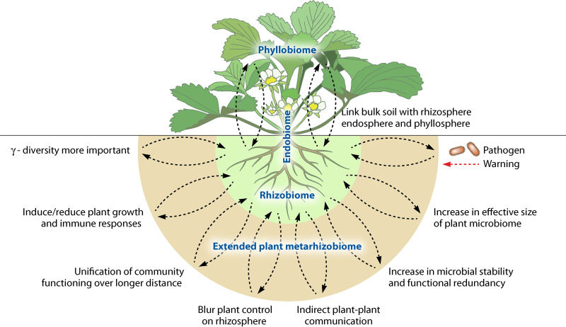 FIG 2