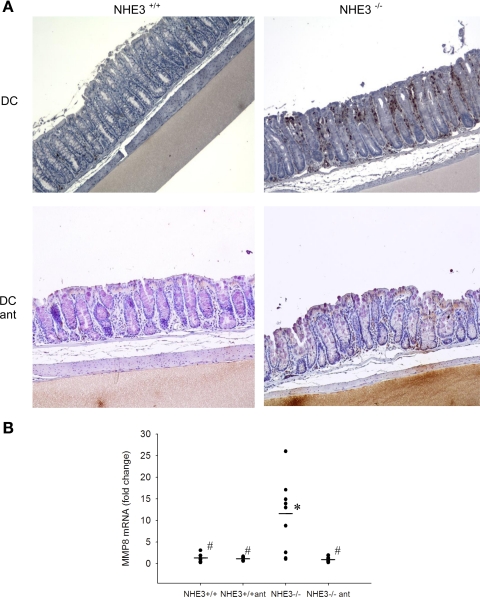 Fig. 8.