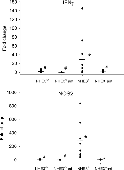 Fig. 12.