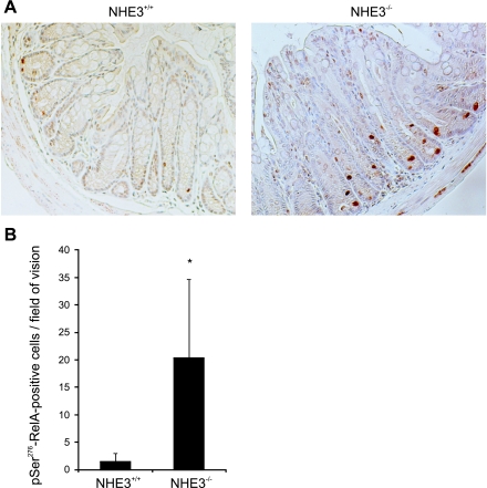 Fig. 9.