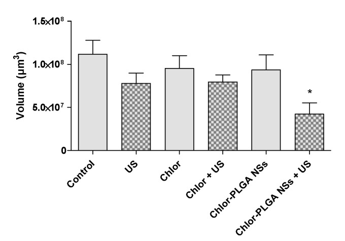 Figure 10