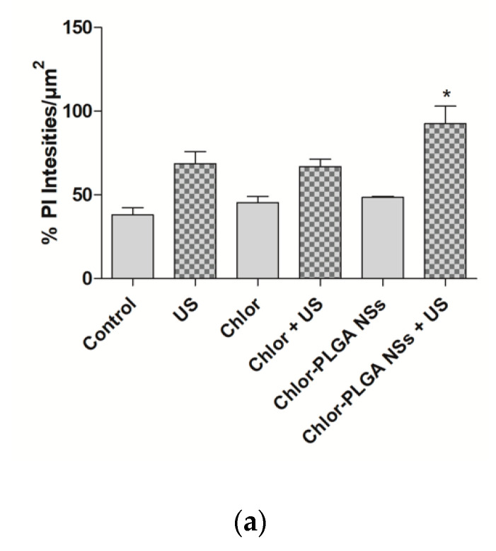 Figure 11