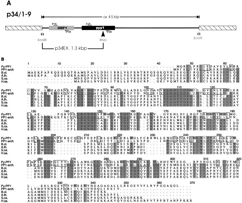 FIG. 1