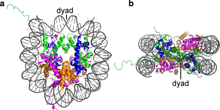 Fig. 4