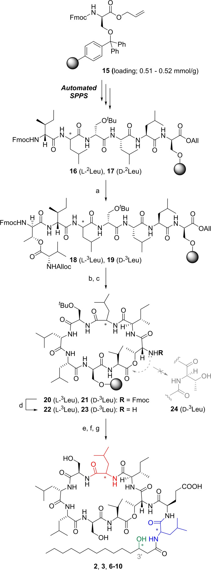 Scheme 2