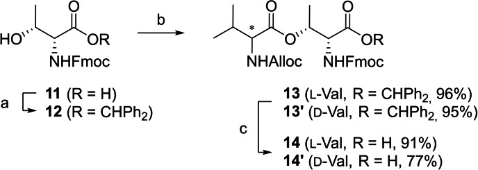 Scheme 1