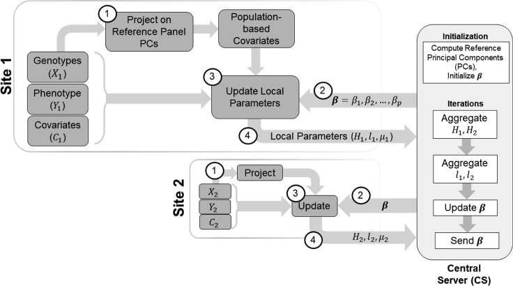 Figure 1