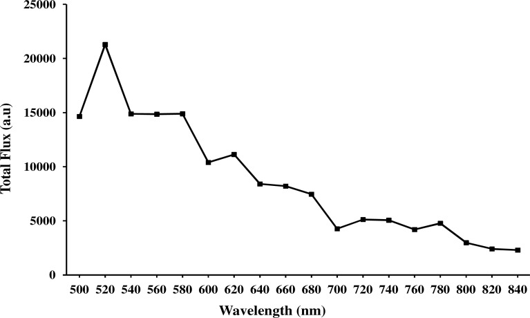 Fig. 5