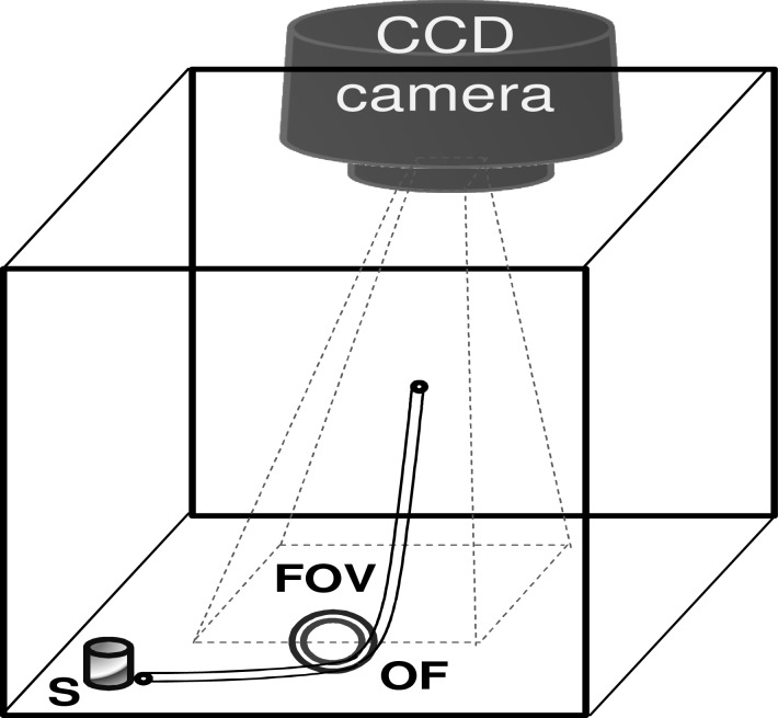 Fig. 1