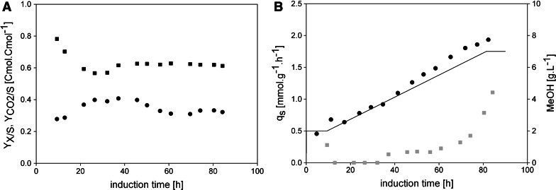 Fig. 5