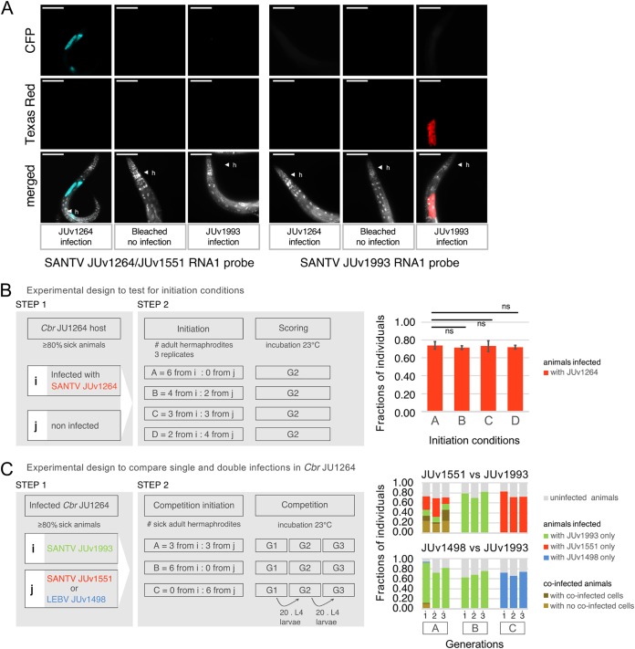 FIG 6