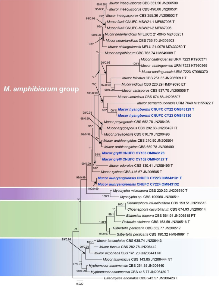 Figure 2