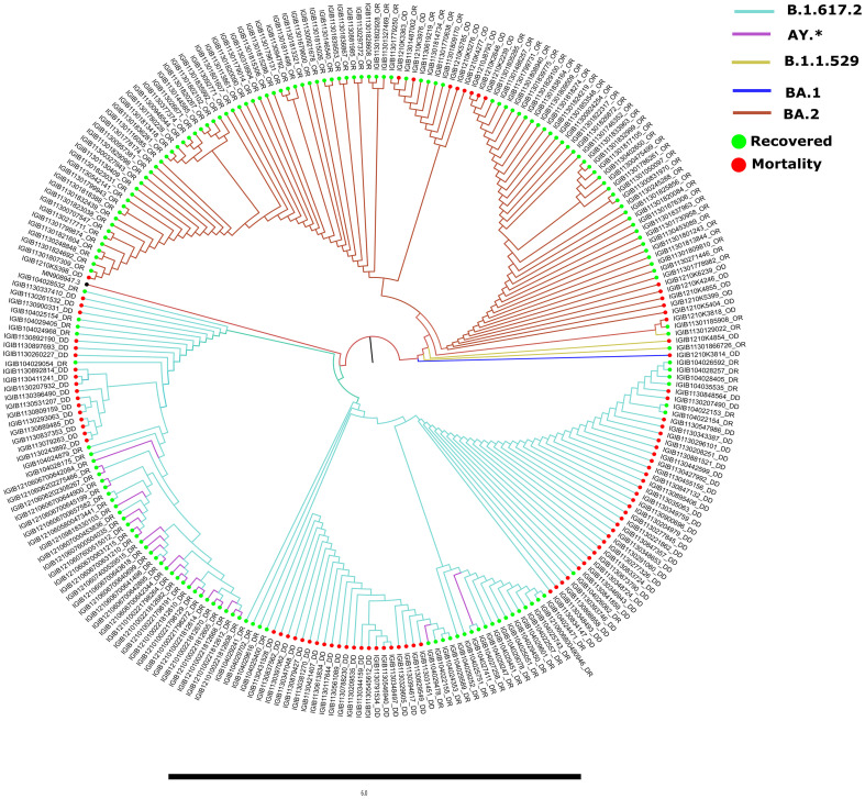 Fig. 3