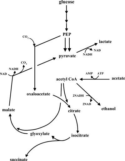 FIG. 7.