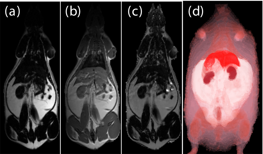 Fig. 6