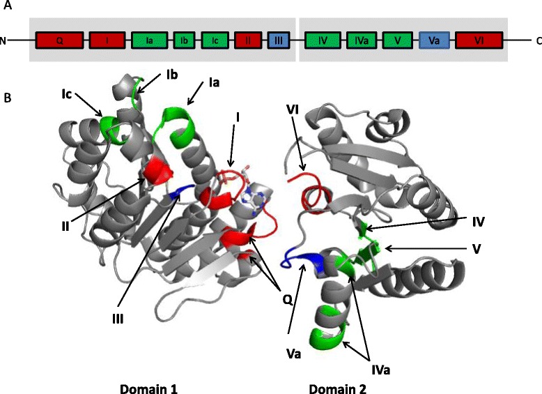 Fig. 2