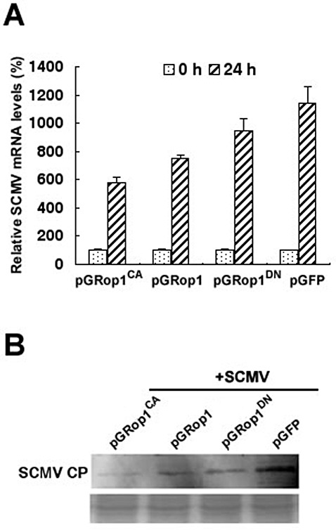 Figure 5