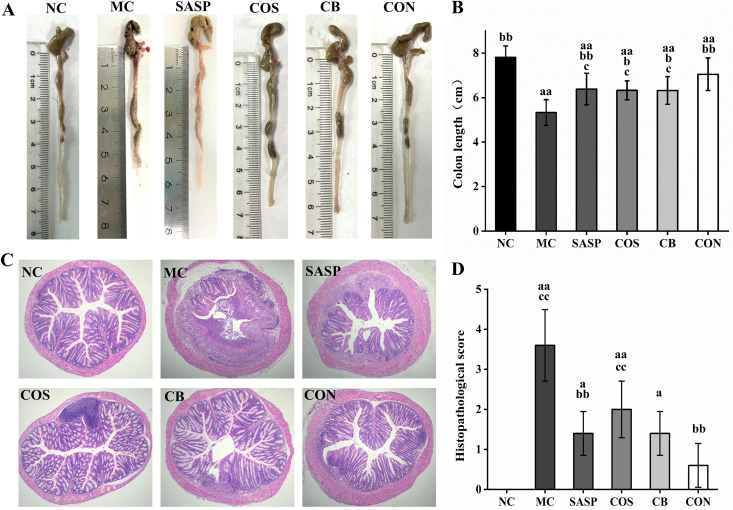 FIG 2