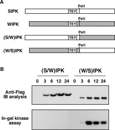 Figure 5.