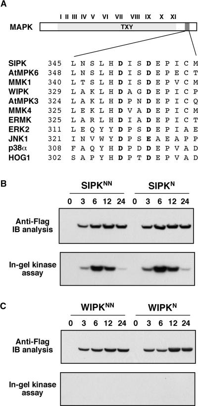 Figure 6.