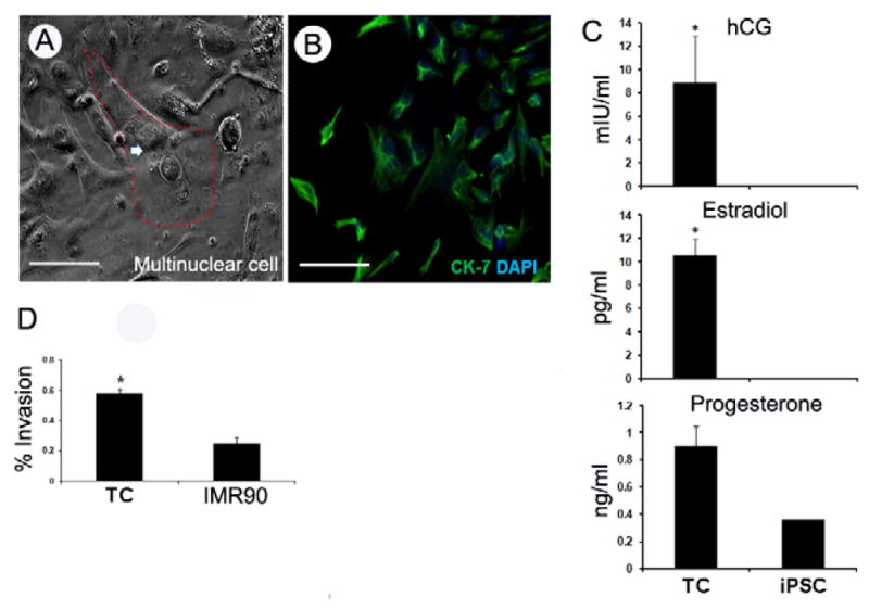 Fig. 4