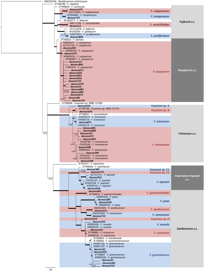 FIGURE 6