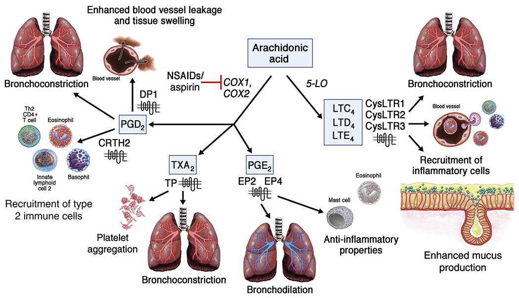 FIG 2.