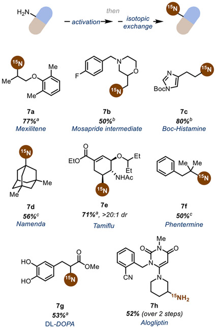 Scheme 5.