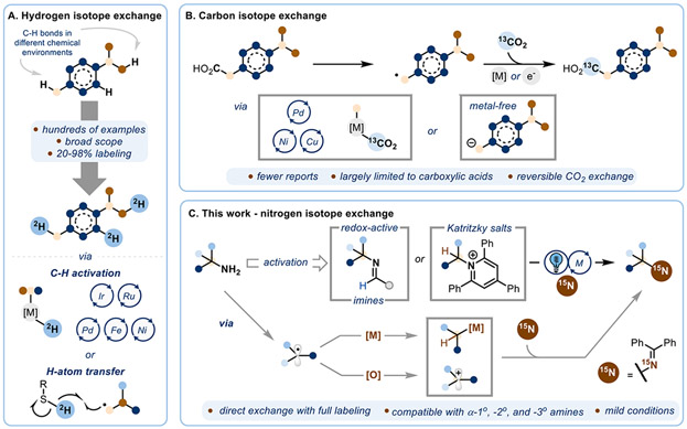 Scheme 1.