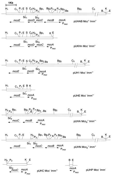 FIG. 2.