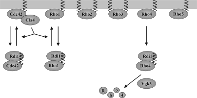 Figure 10.