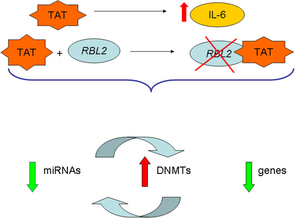 Figure 9