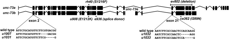 Fig. S2.