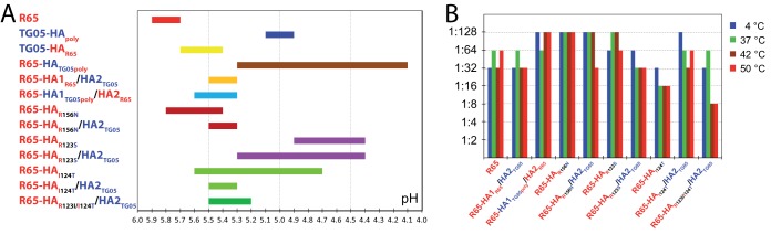 FIG 6