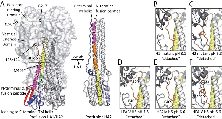 FIG 8