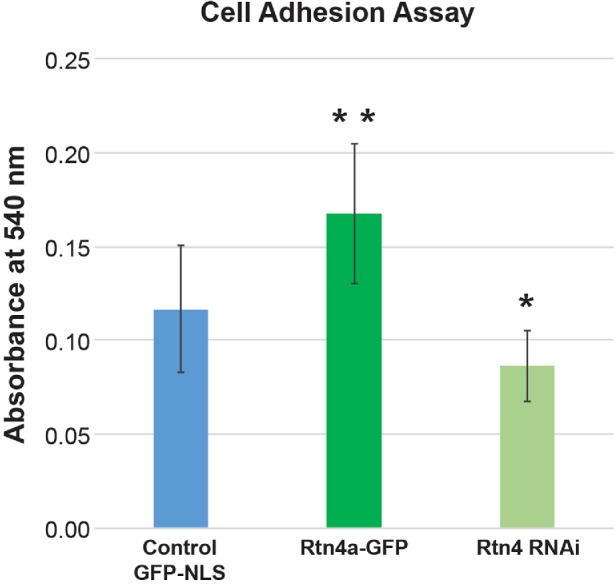 FIGURE 4: