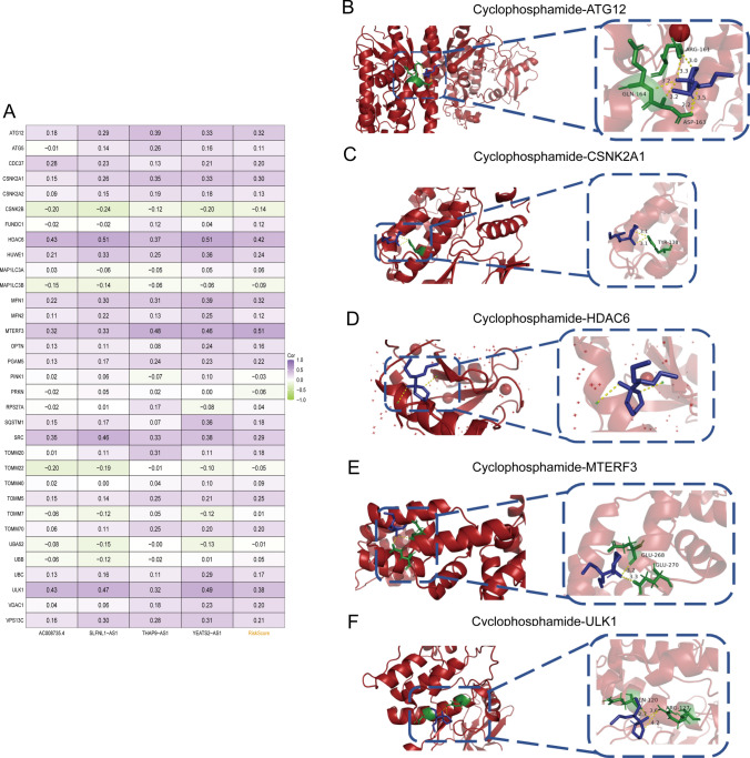 Fig. 11