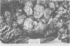 459