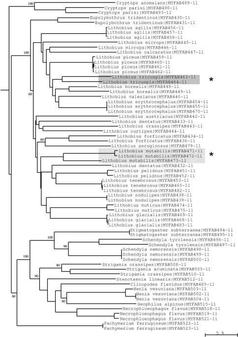 Figure 11.