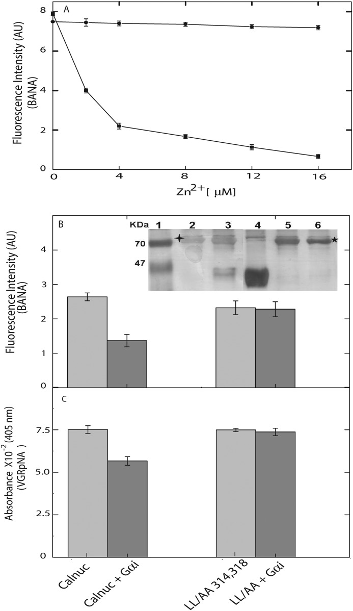 FIGURE 7.