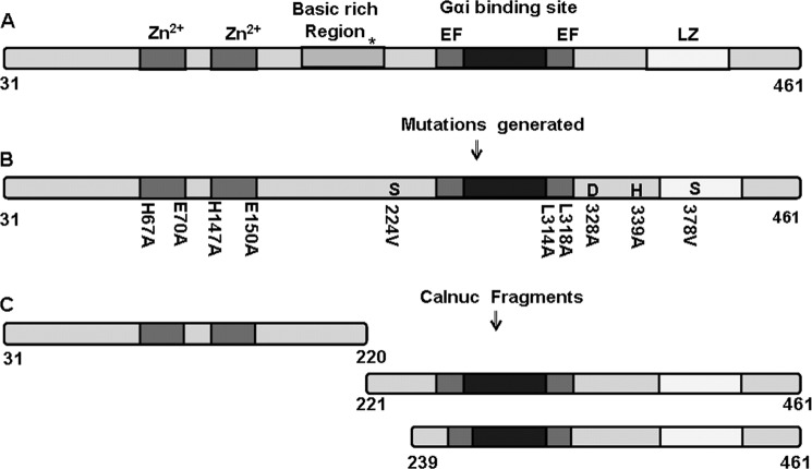 FIGURE 1.