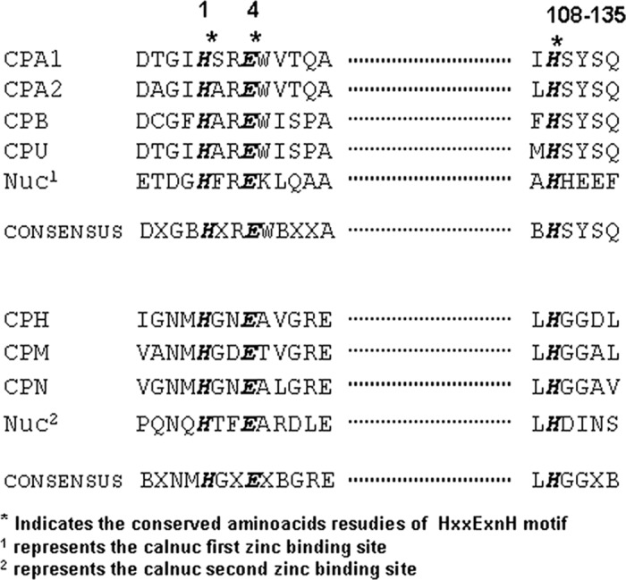 graphic file with name zbc006133724t003.jpg