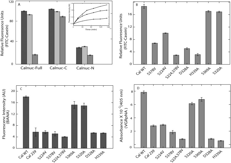 FIGURE 2.