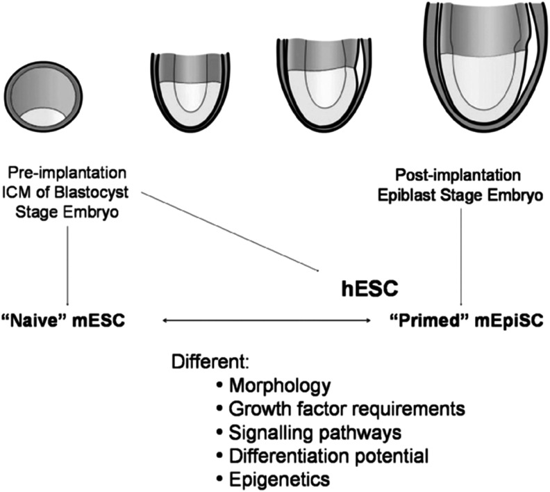 FIG. 1.