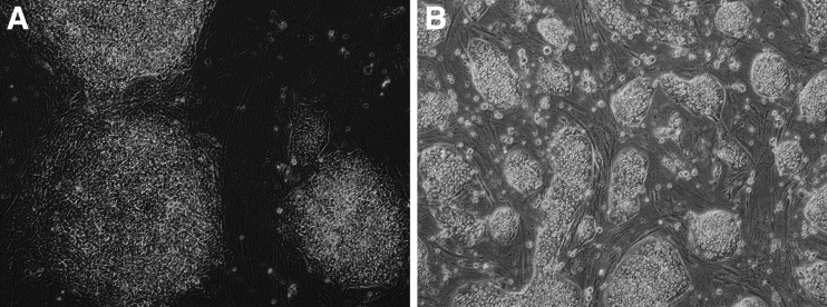 FIG. 4.