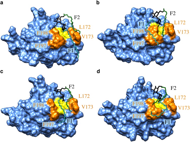 Figure 7